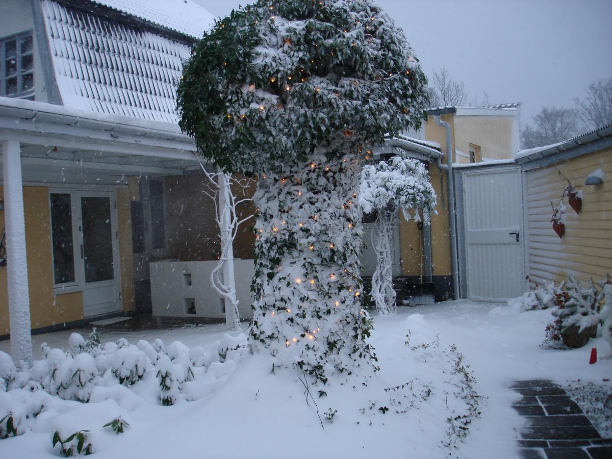 Strandidyl Bed And Breakfast Kelstrup ภายนอก รูปภาพ